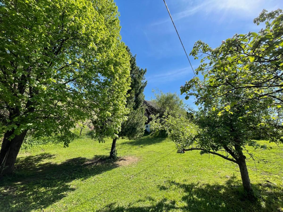 Ferienhuette Bosic Villa Baierdorf Kültér fotó