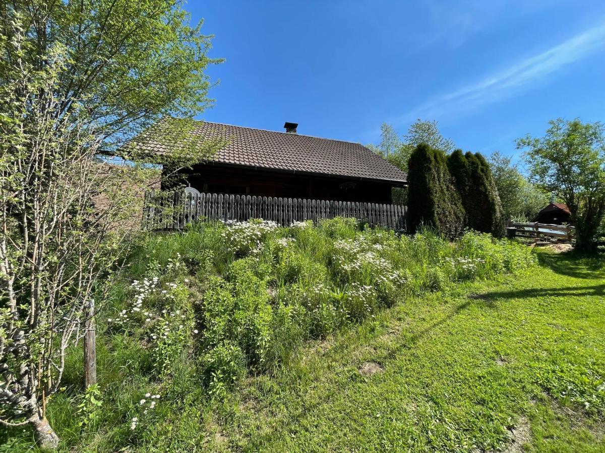 Ferienhuette Bosic Villa Baierdorf Kültér fotó