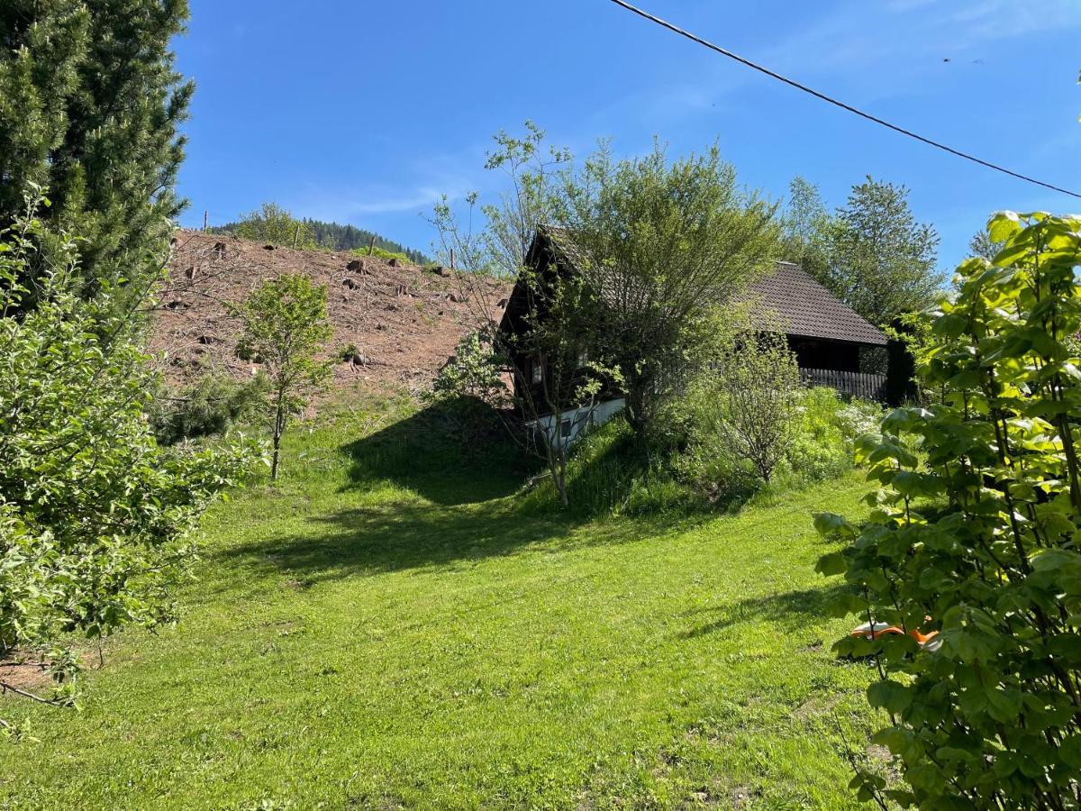 Ferienhuette Bosic Villa Baierdorf Kültér fotó